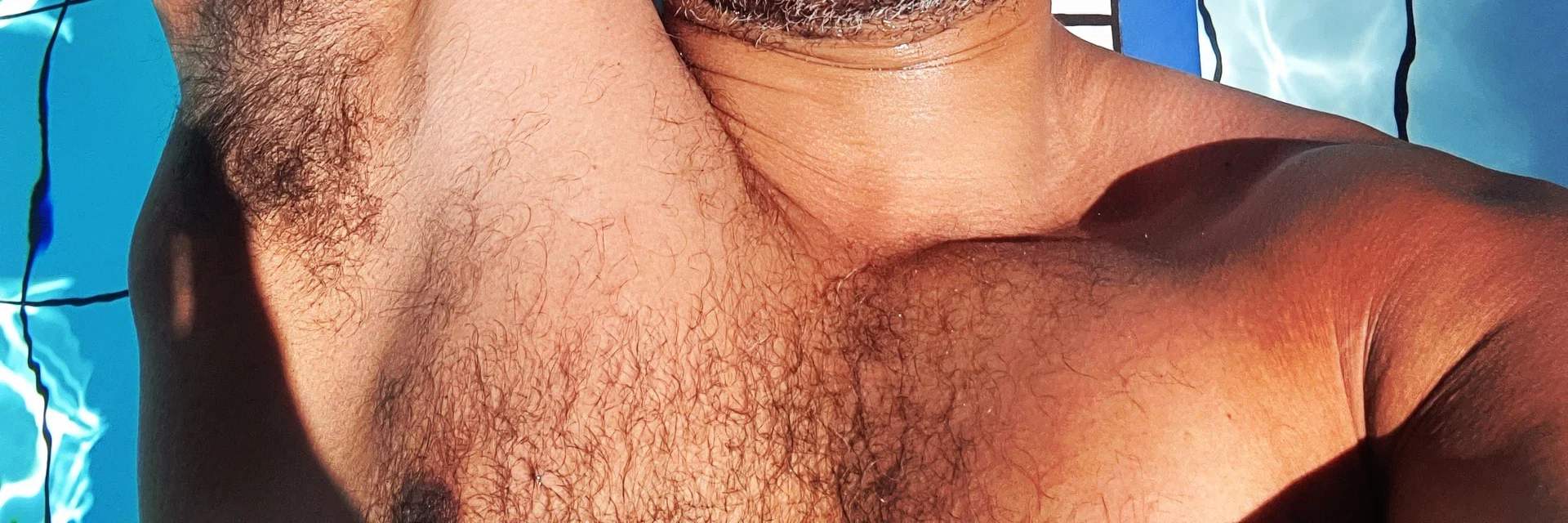 Brazilian Bearback Bear profile banner