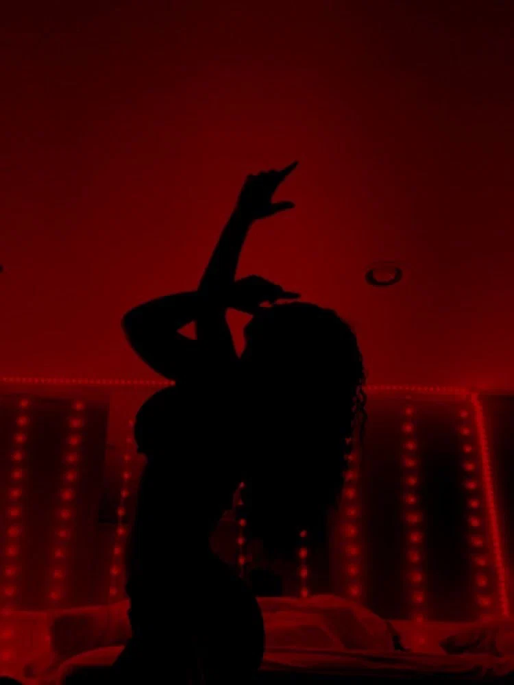 Exotica profile banner