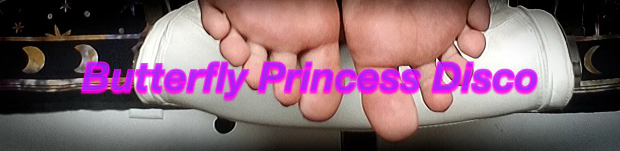 Butterfly Princess Disco profile banner