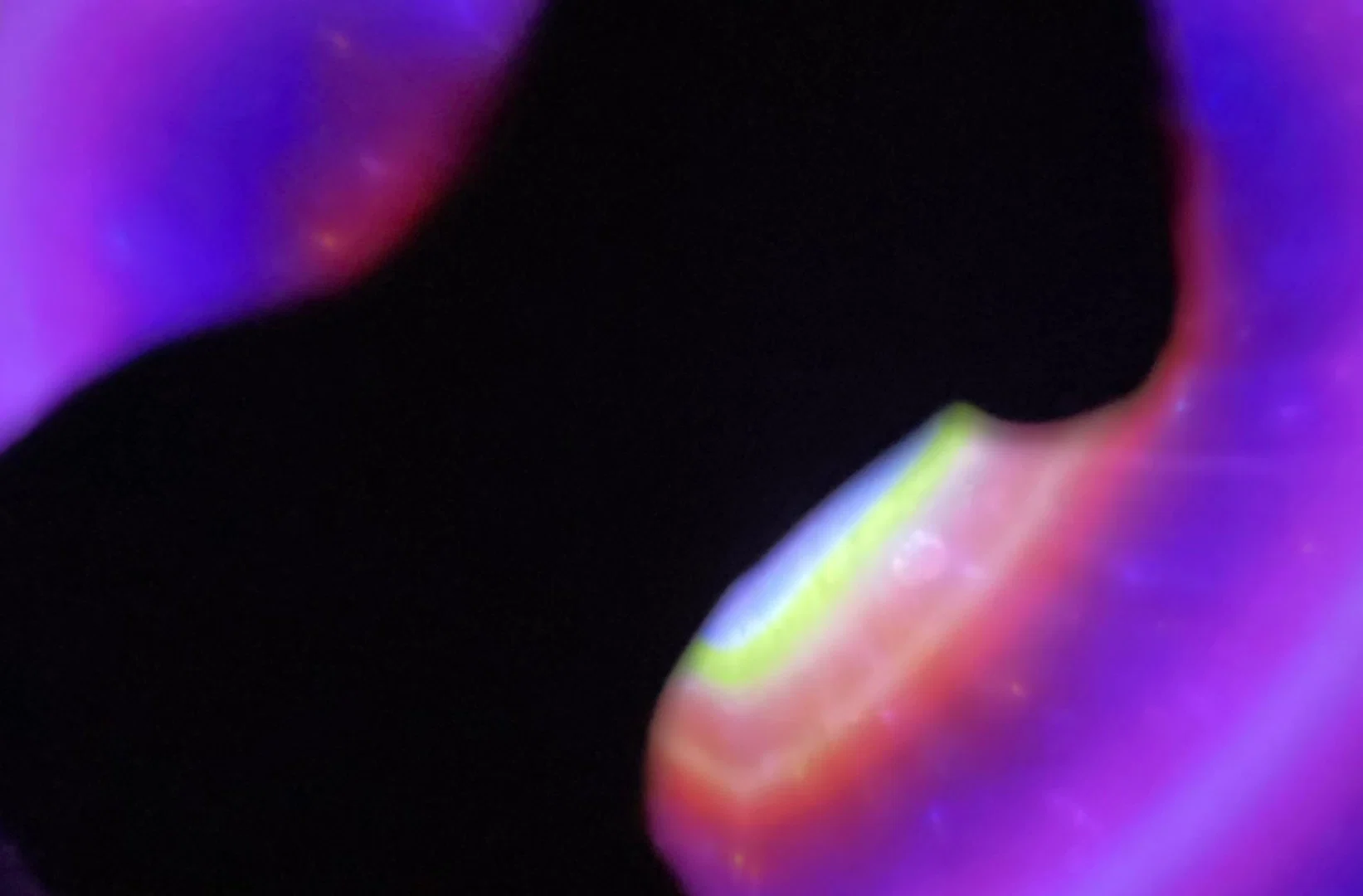 Kittyπ profile banner