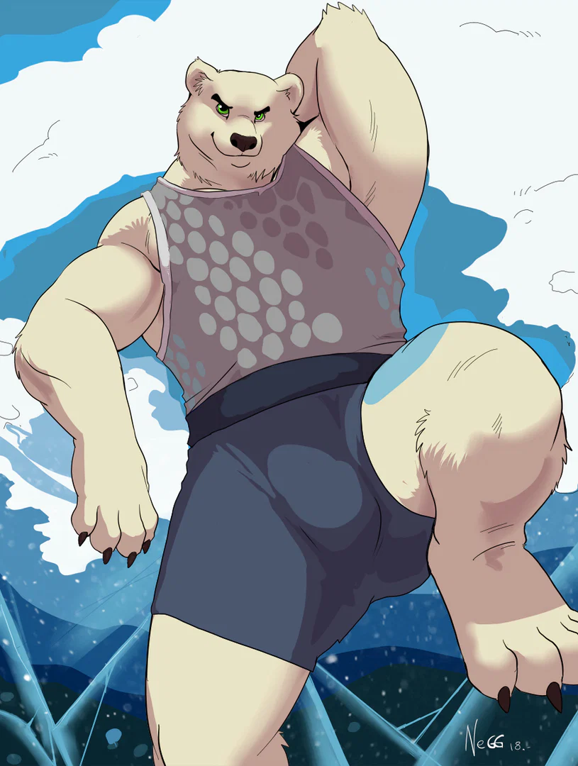 Northbear profile banner