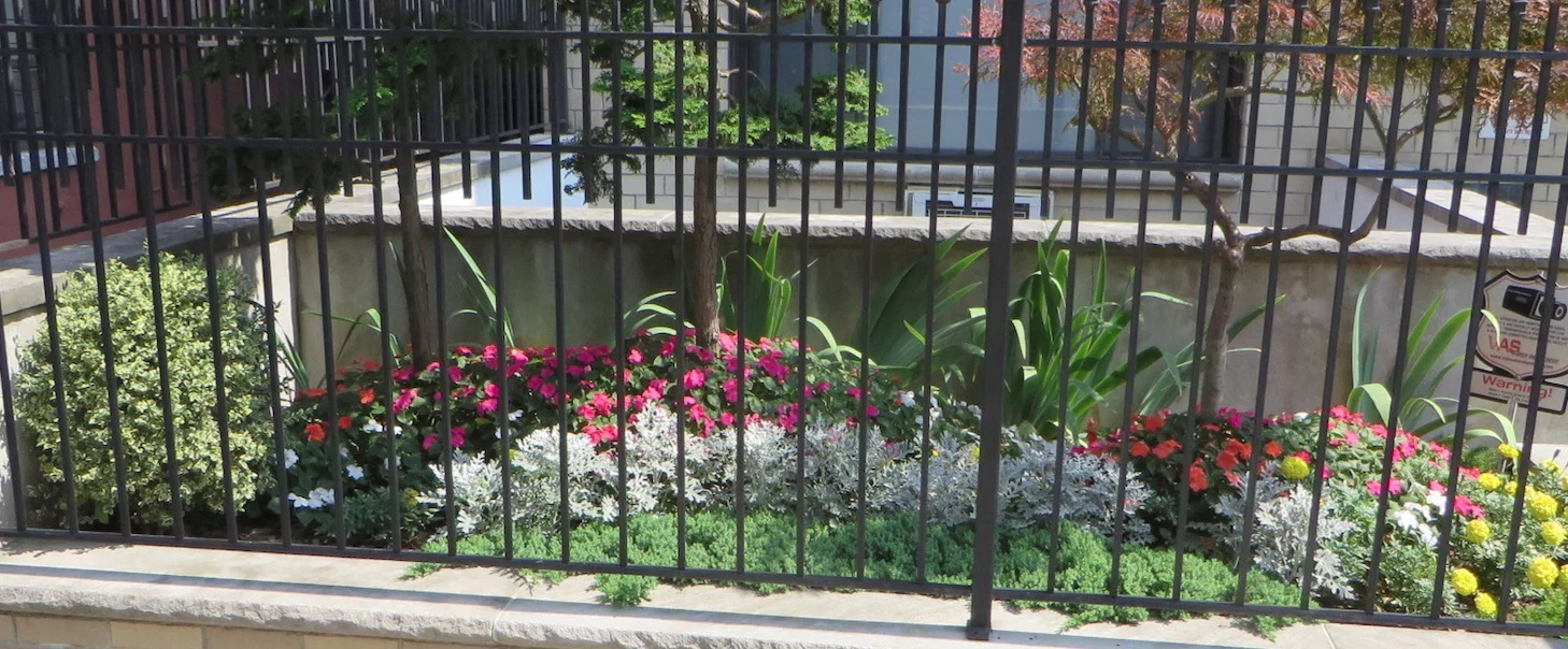NYMaster2 profile banner