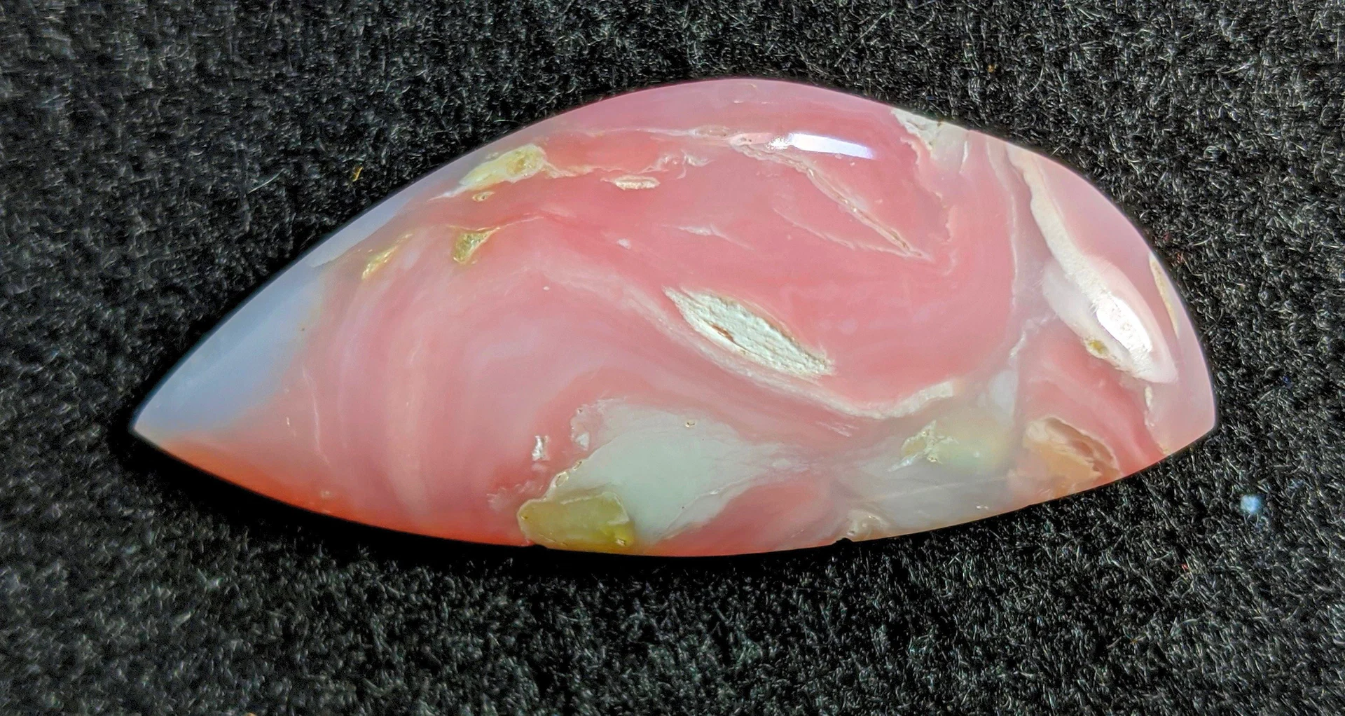 Opal Rose profile banner