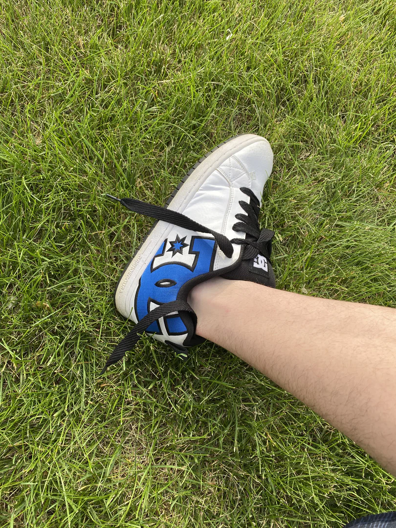 bearsnkicks profile banner