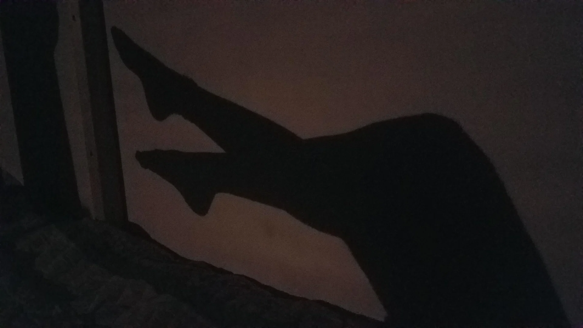 Jenny S profile banner