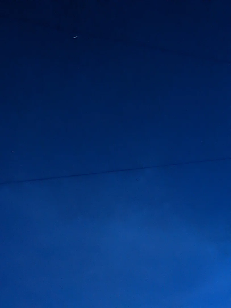 D profile banner