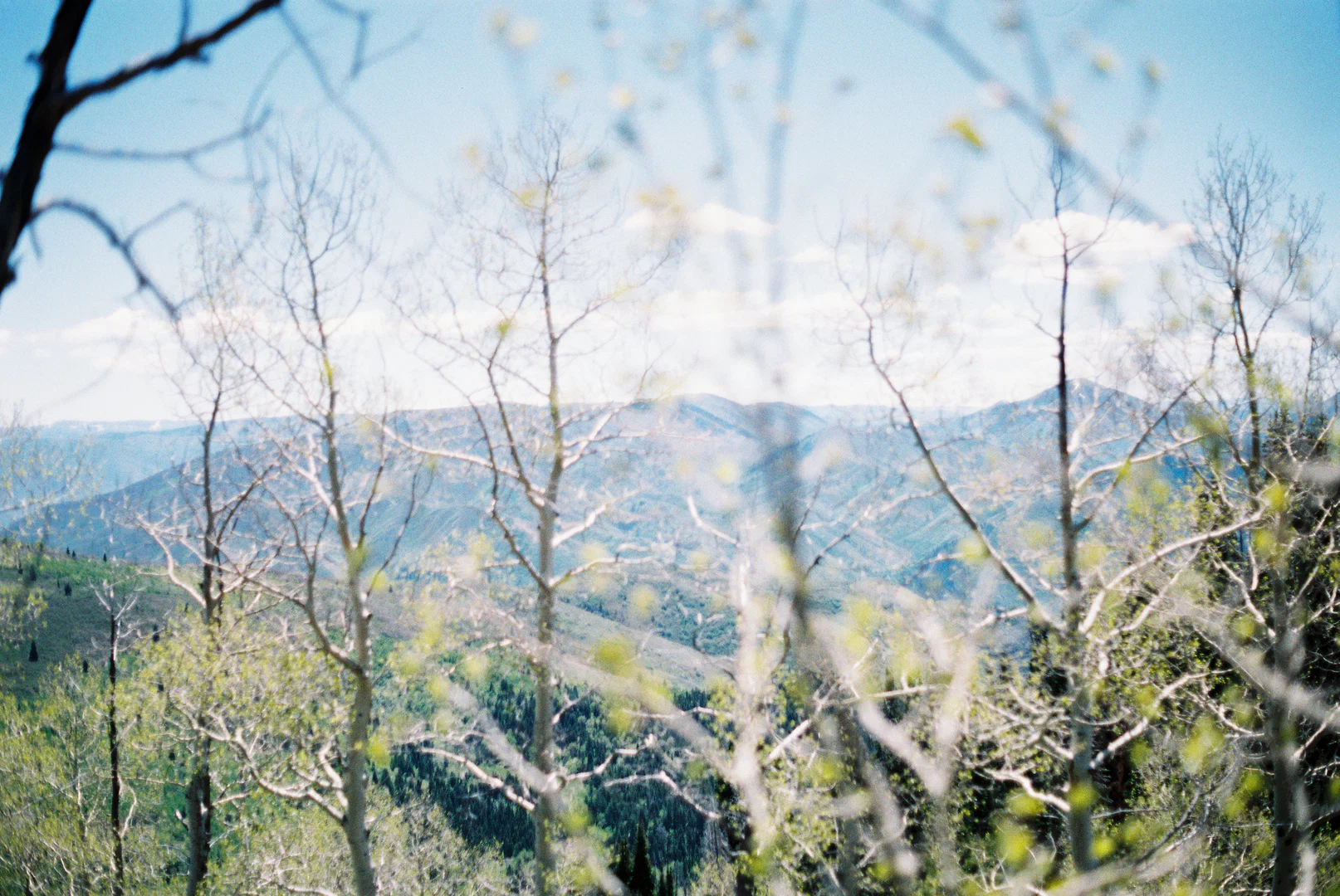 Taylor profile banner