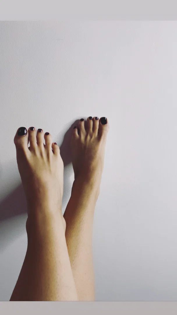 Charlie 🌹 profile banner