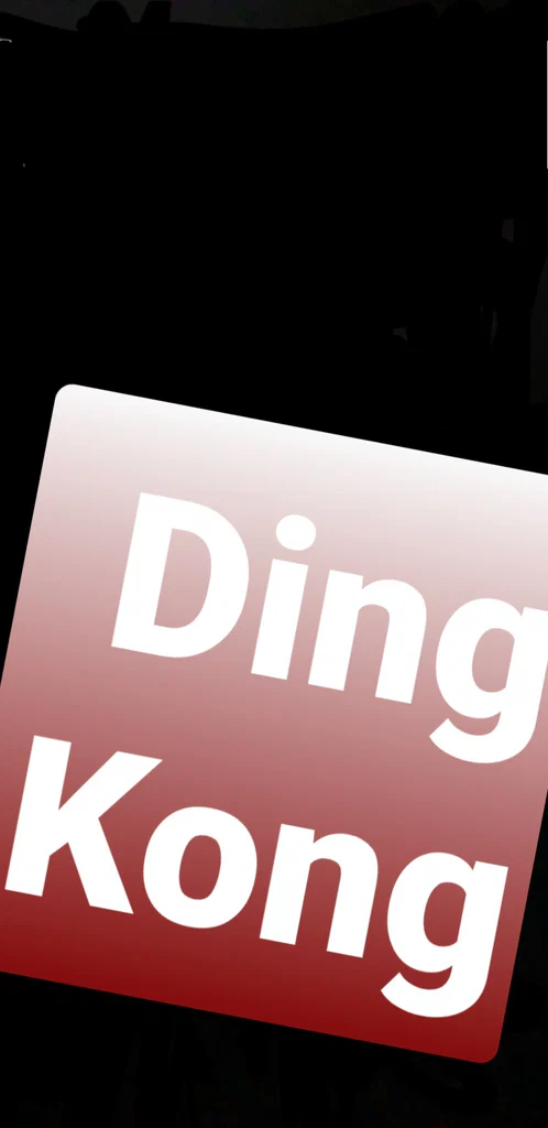 DingKong's avatar