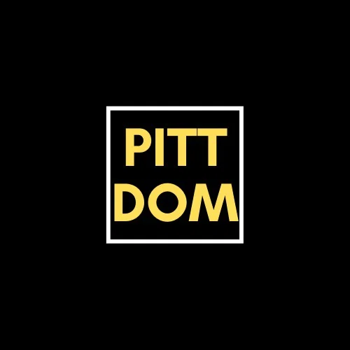DLPittDom profile banner
