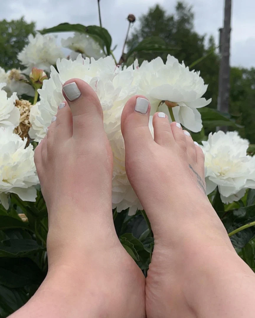 sugar.sweetsoles profile banner