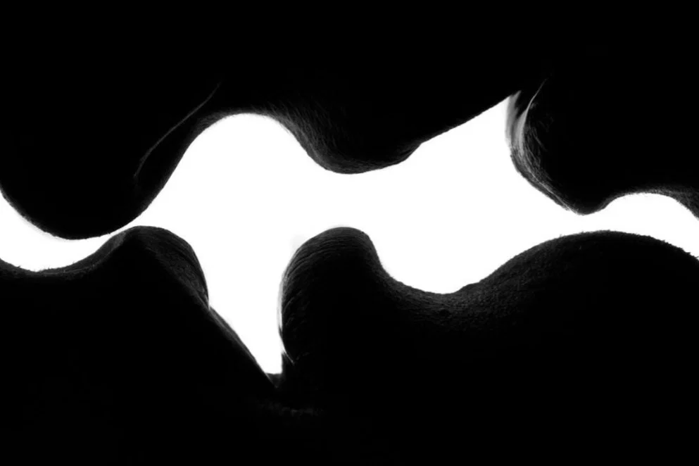 RiverVixen profile banner