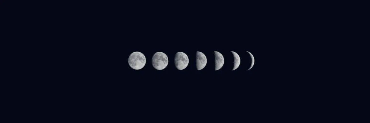 piinecone profile banner
