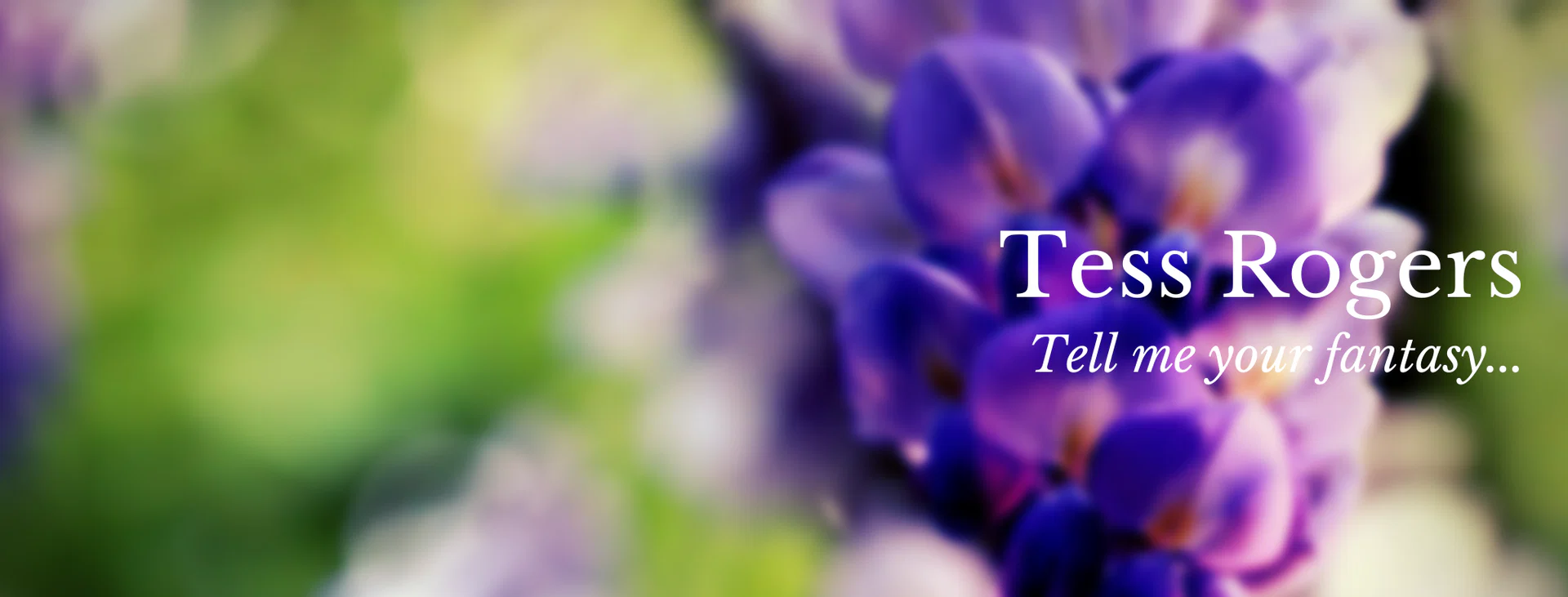Tess Rogers profile banner