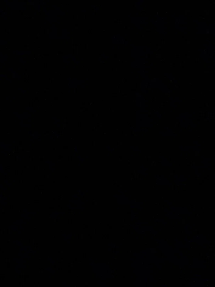 bailey profile banner