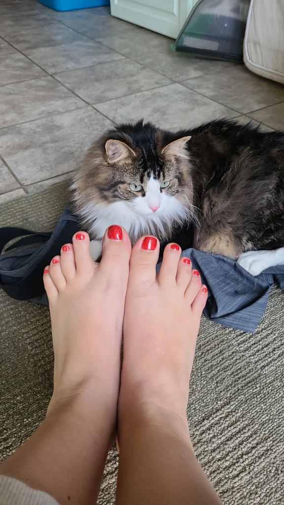 Tay