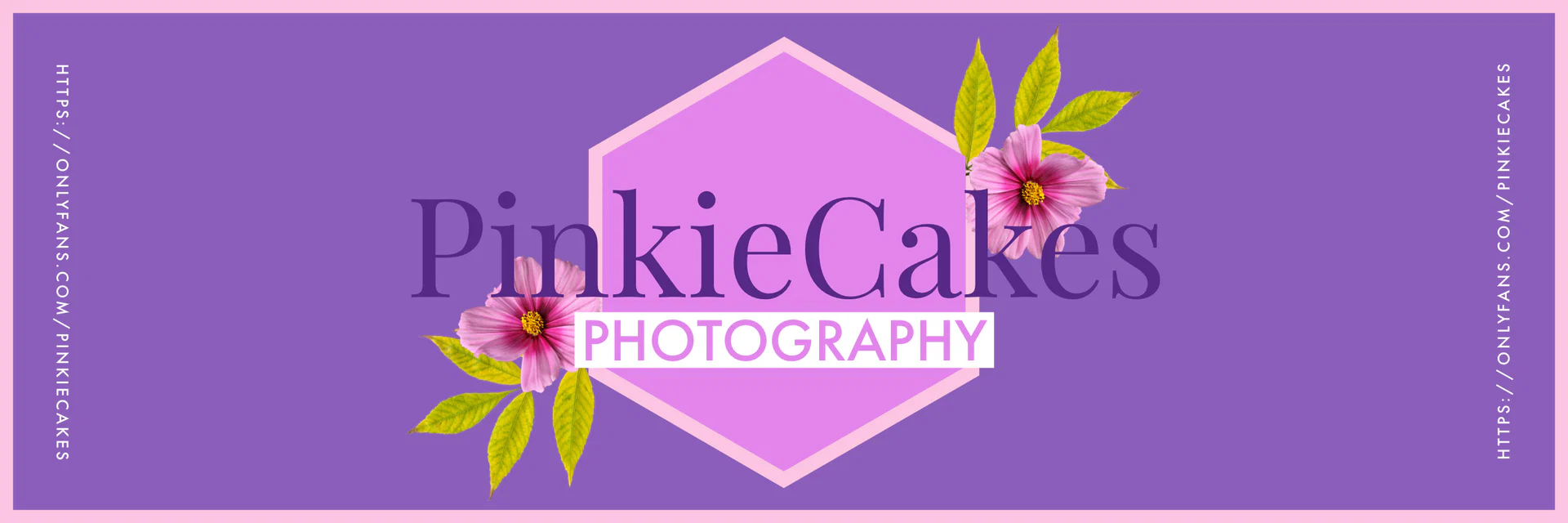 Pinkiecakes profile banner
