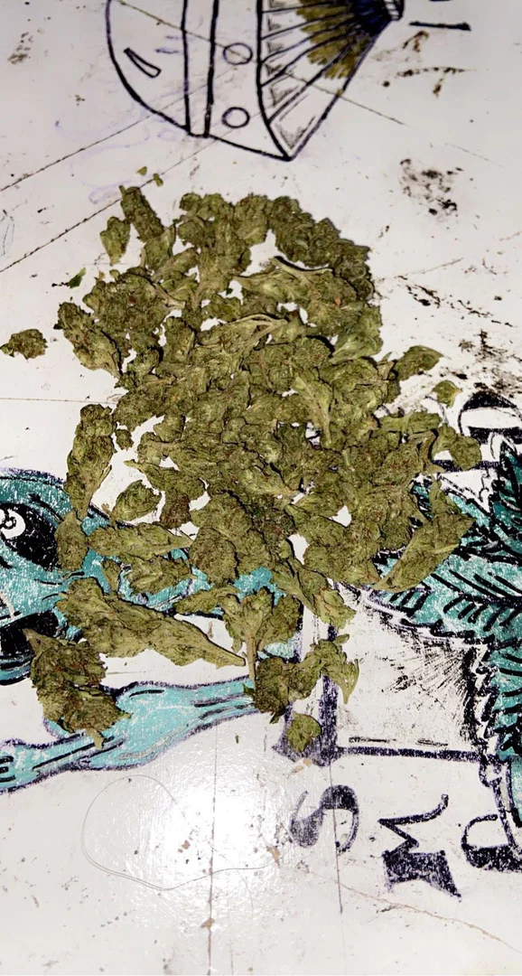 Gassed Out Princess profile banner