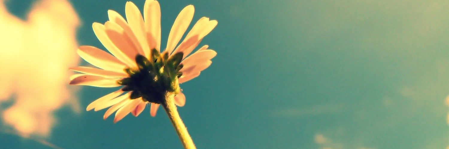 Zackly profile banner