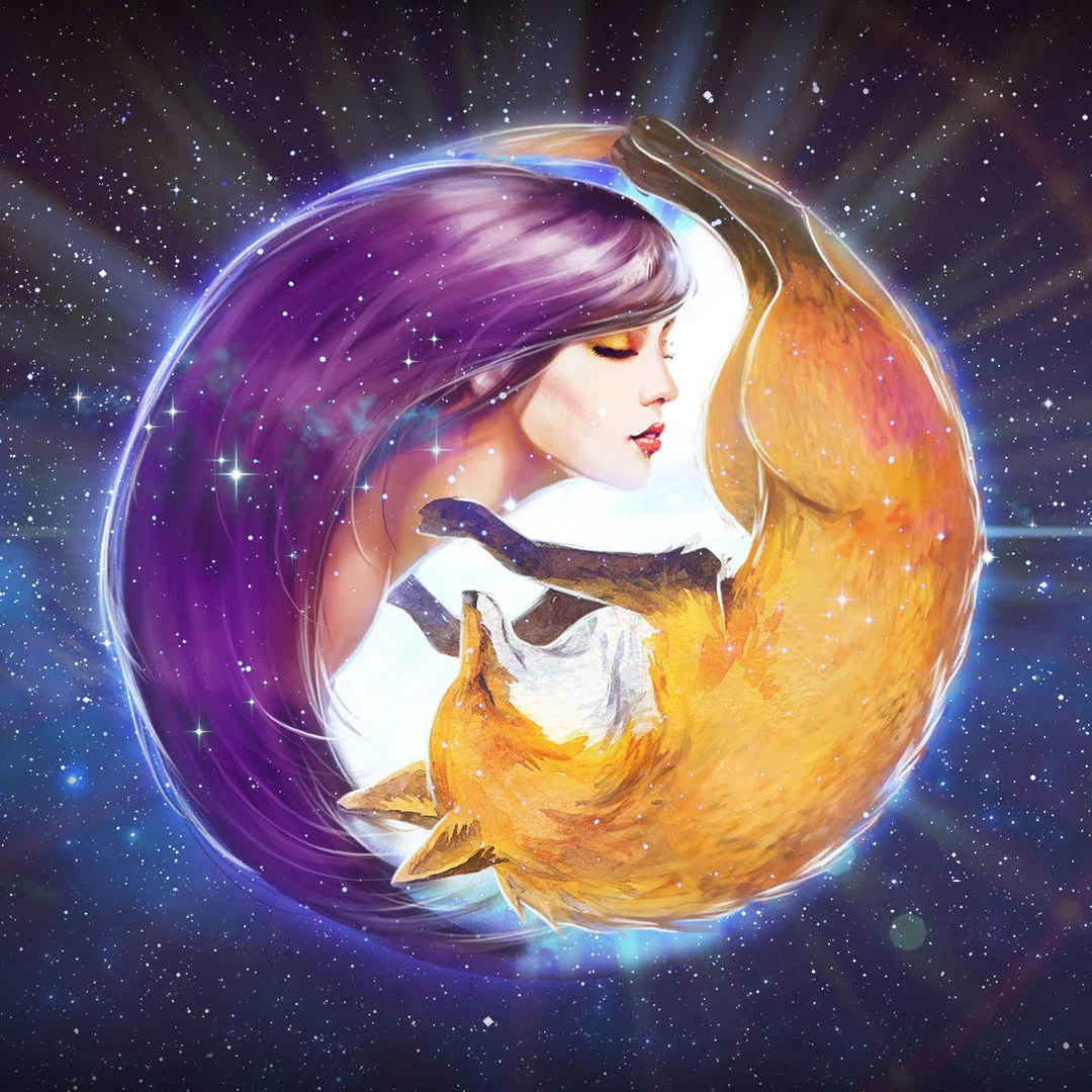 Gemini Fox profile banner