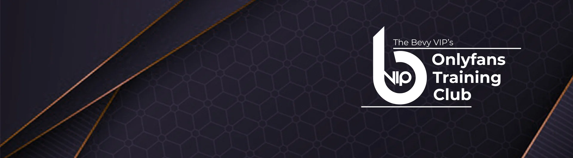 Sir Marcus Bev profile banner