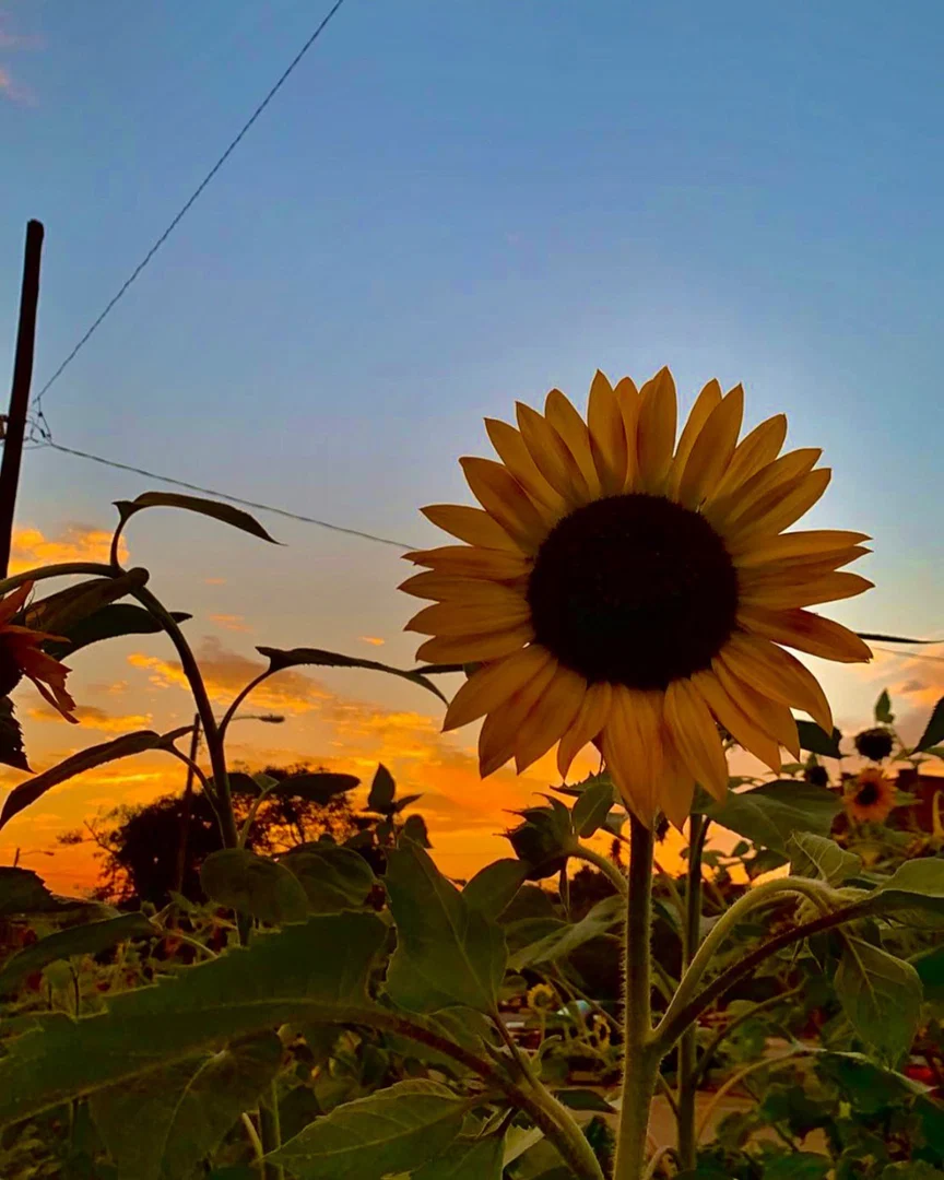 noah_farmer profile banner