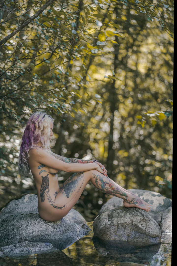 ռǟӄɛɖ ɮʏ ռǟȶʊʀɛ🌲 profile banner