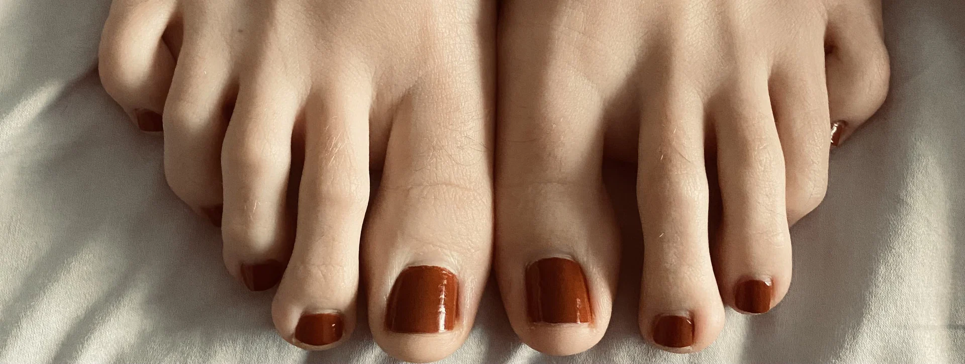 Harper's Feet profile banner