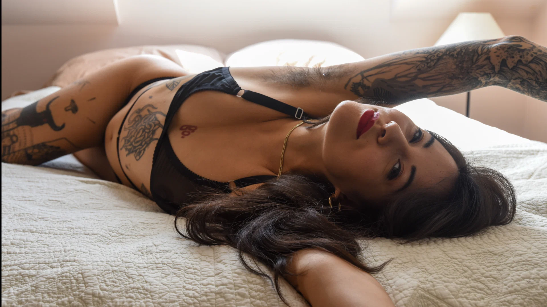 Cat's Meow profile banner