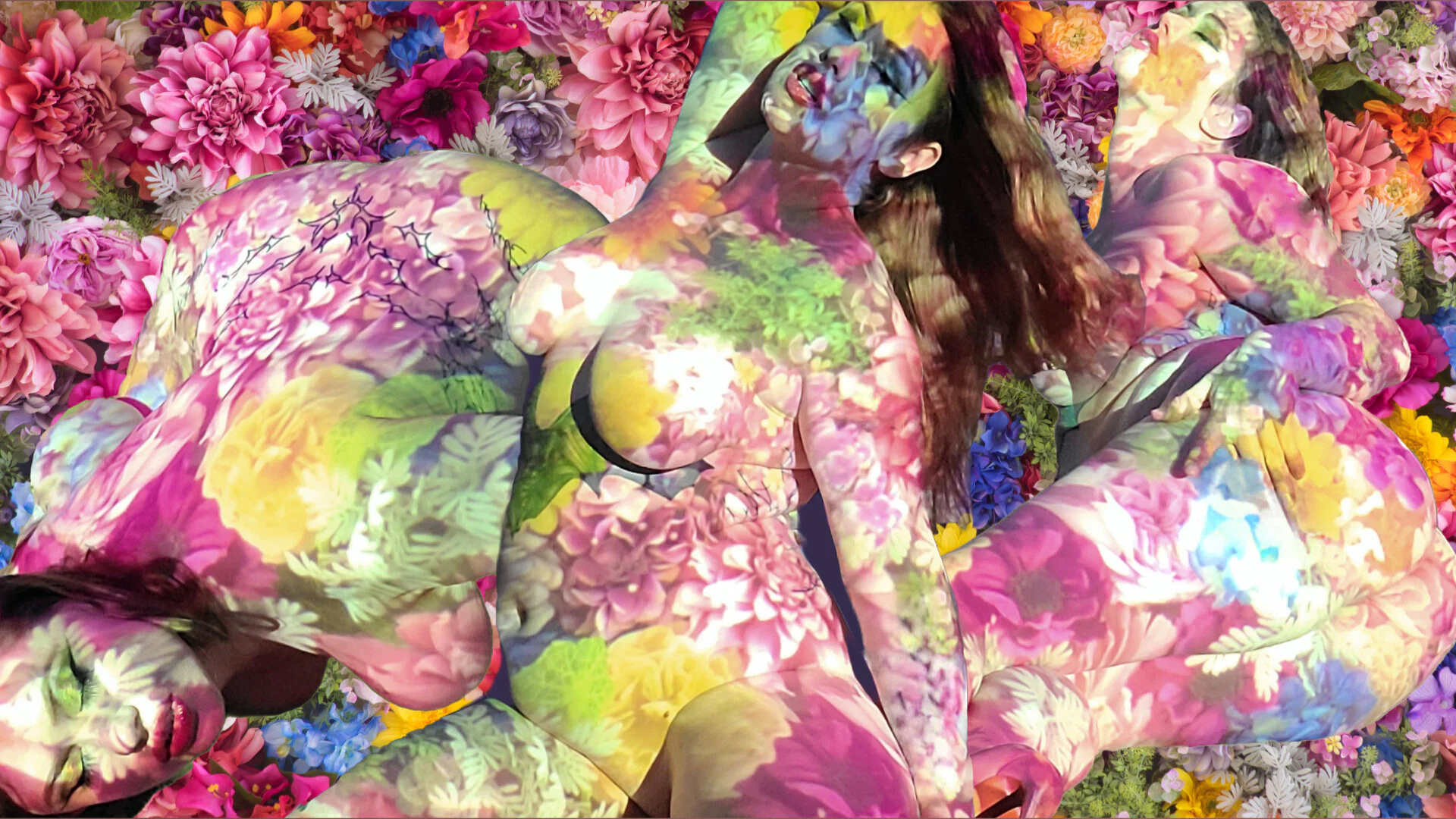 Sasha Roan profile banner