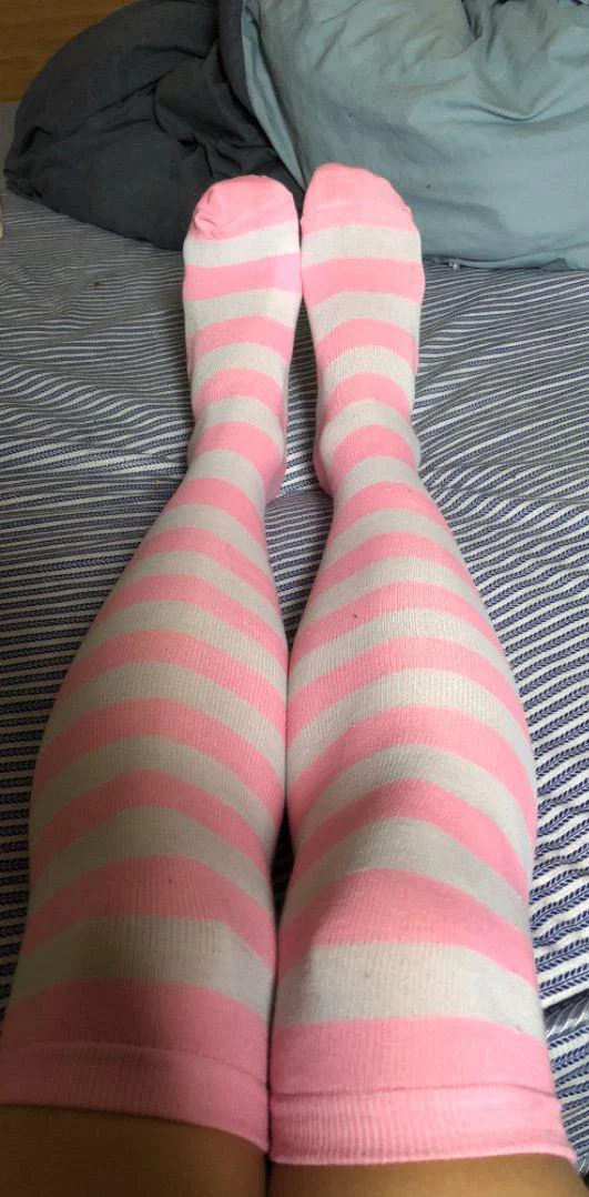 Cutie Socks profile banner