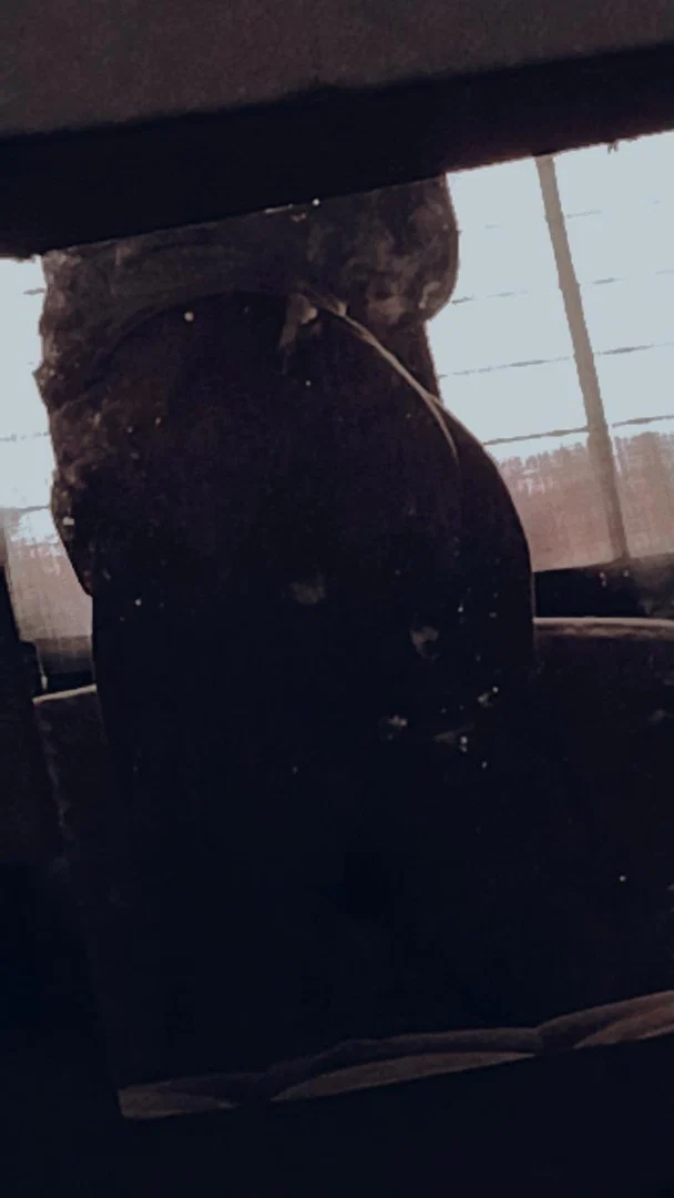 Camile Przysbeczyski profile banner