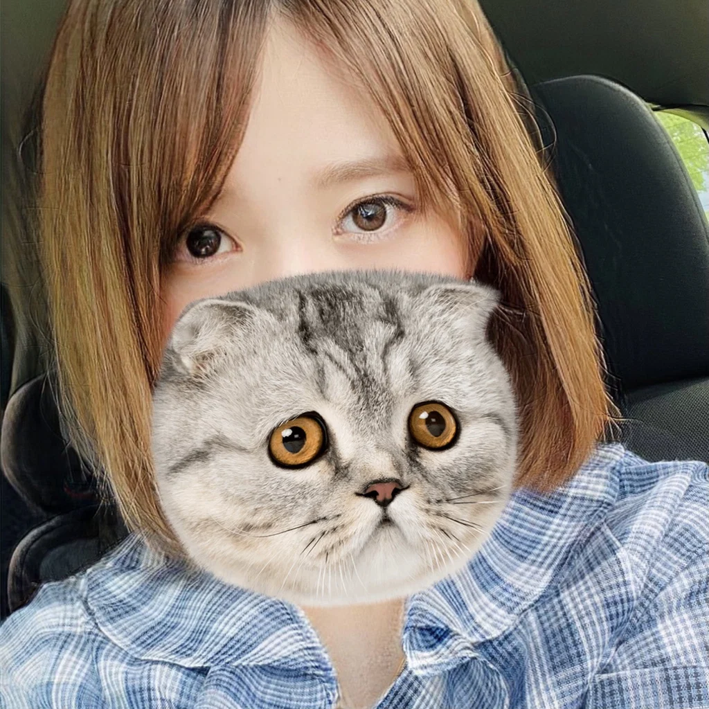 美脚ねこ