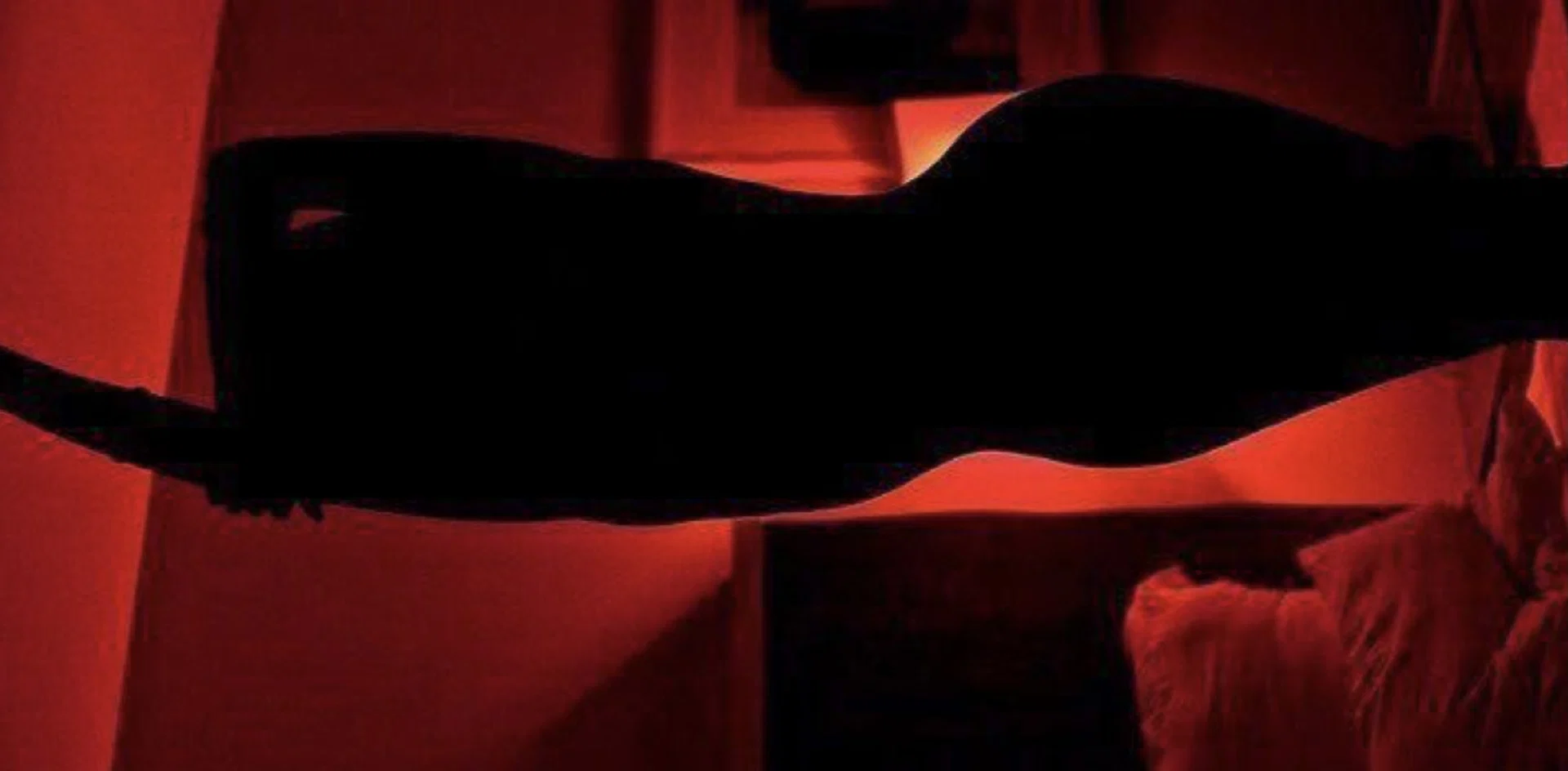 Bella π profile banner
