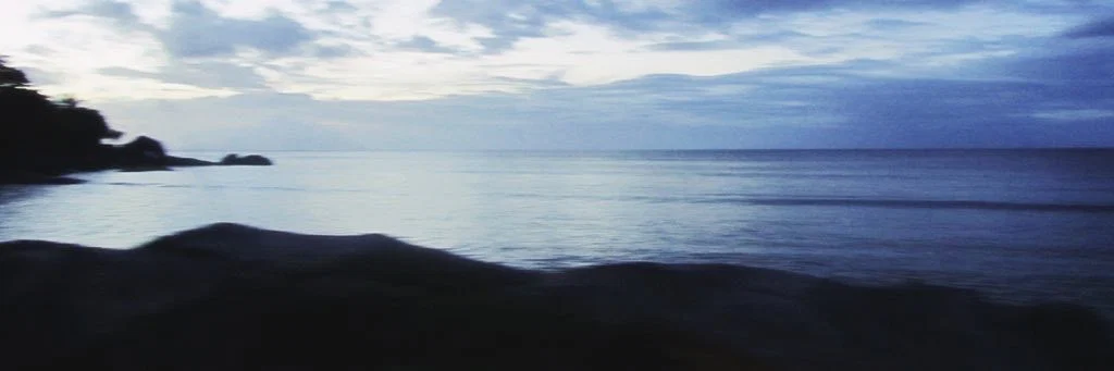 Leah Brooks profile banner