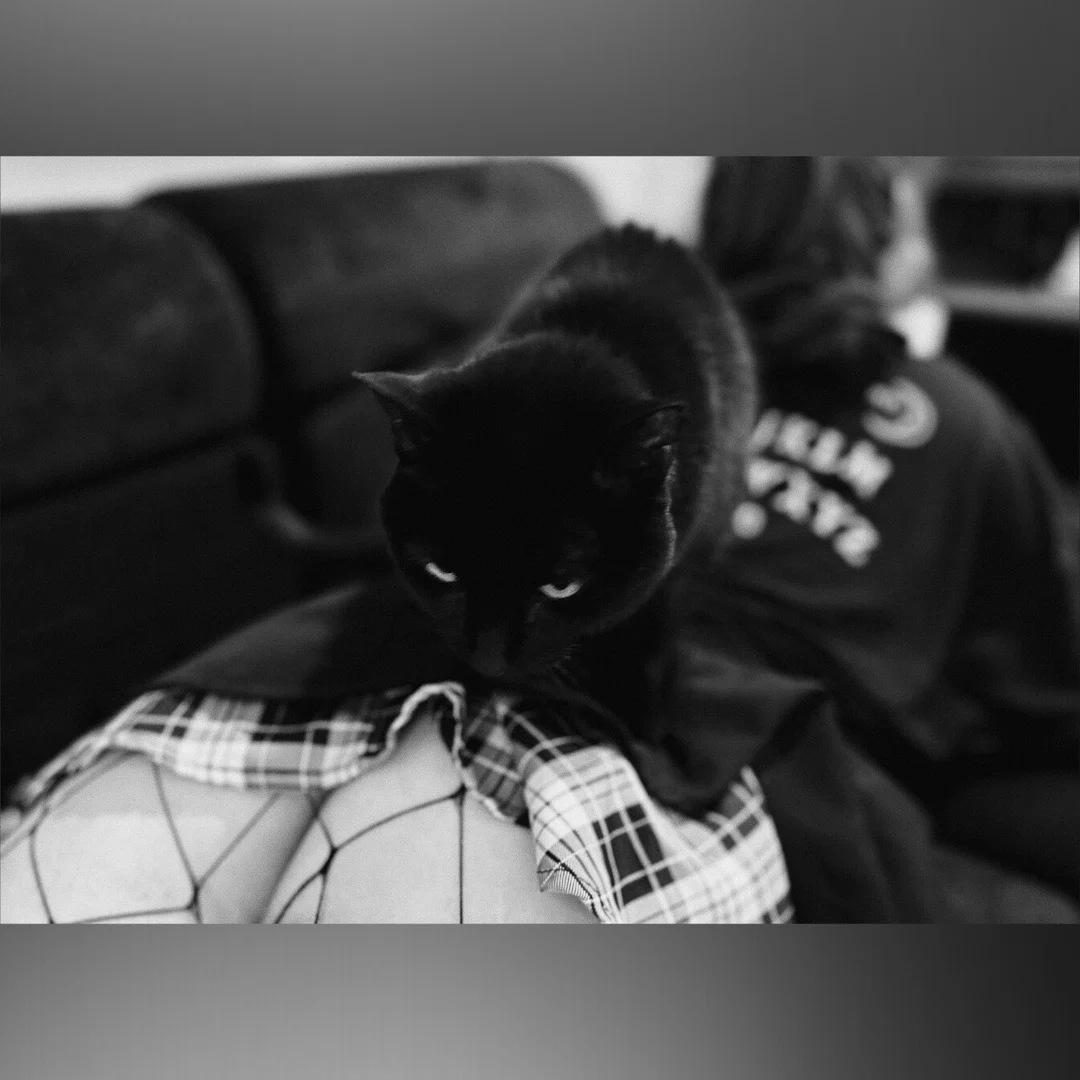 Jayne Doe profile banner
