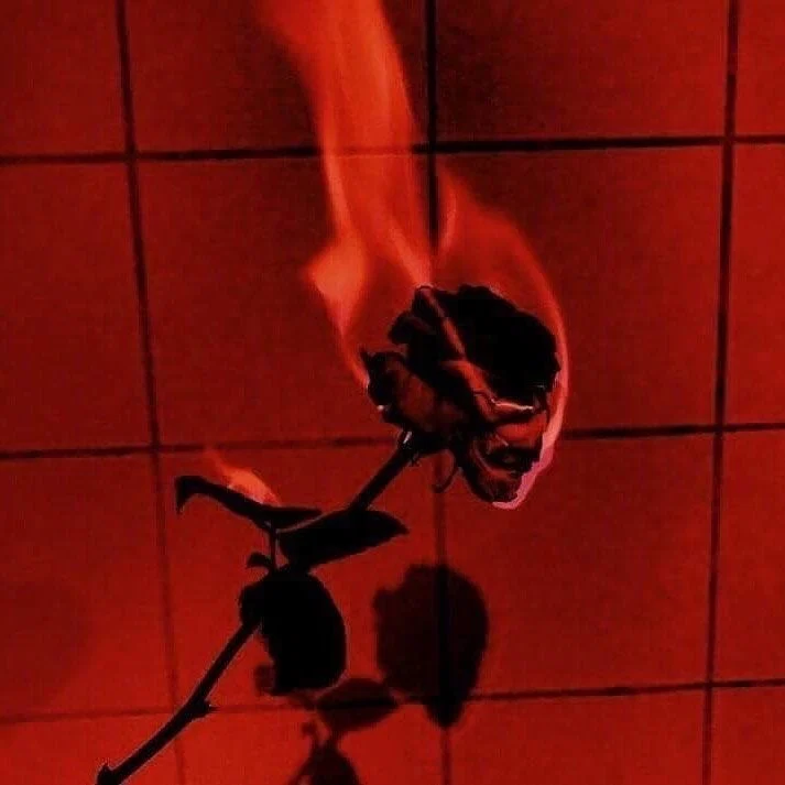 Rose π₯π€ profile banner