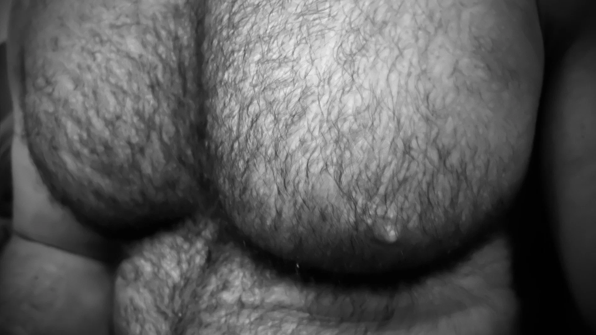 MoLines XX profile banner