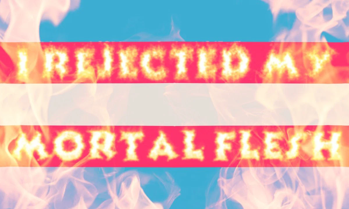 angel 💞💕 profile banner