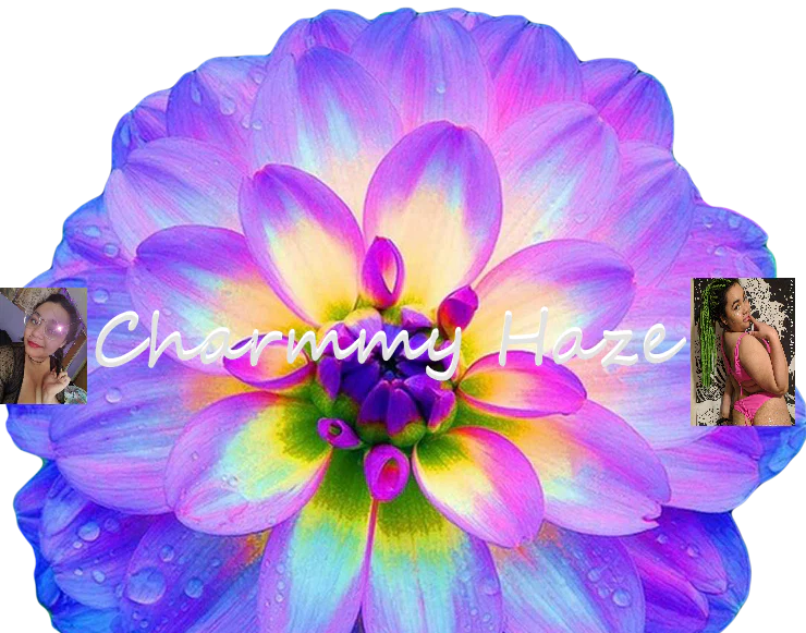 Charmmy Haze profile banner