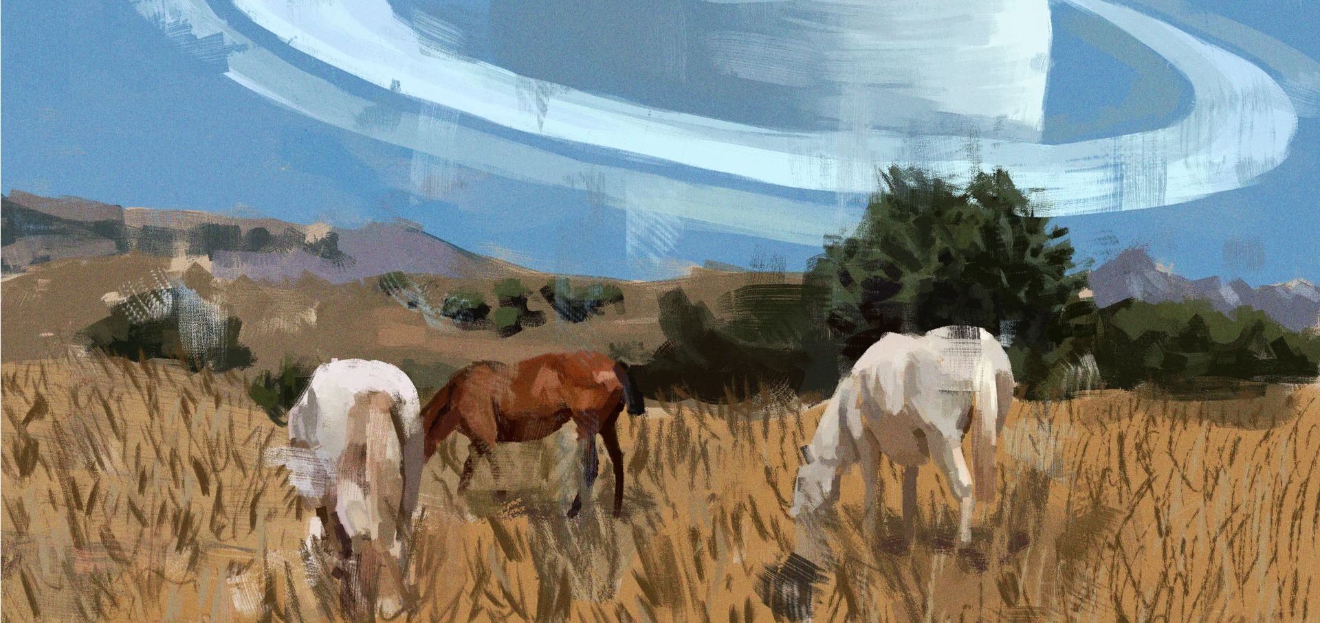 veneresson profile banner