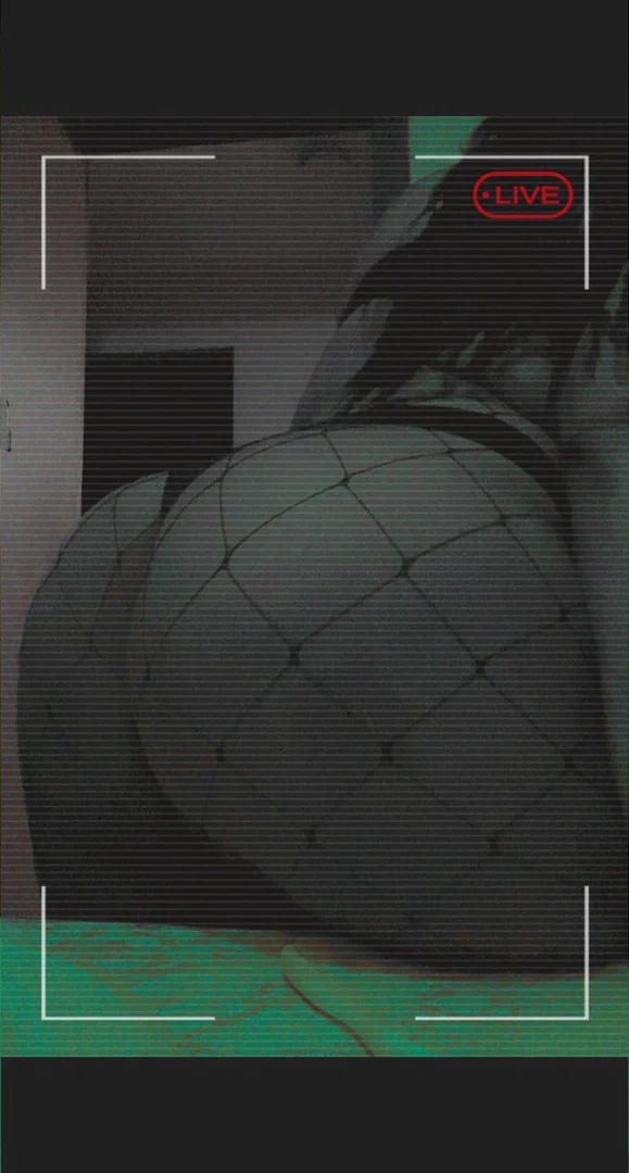RaRa Brazy profile banner
