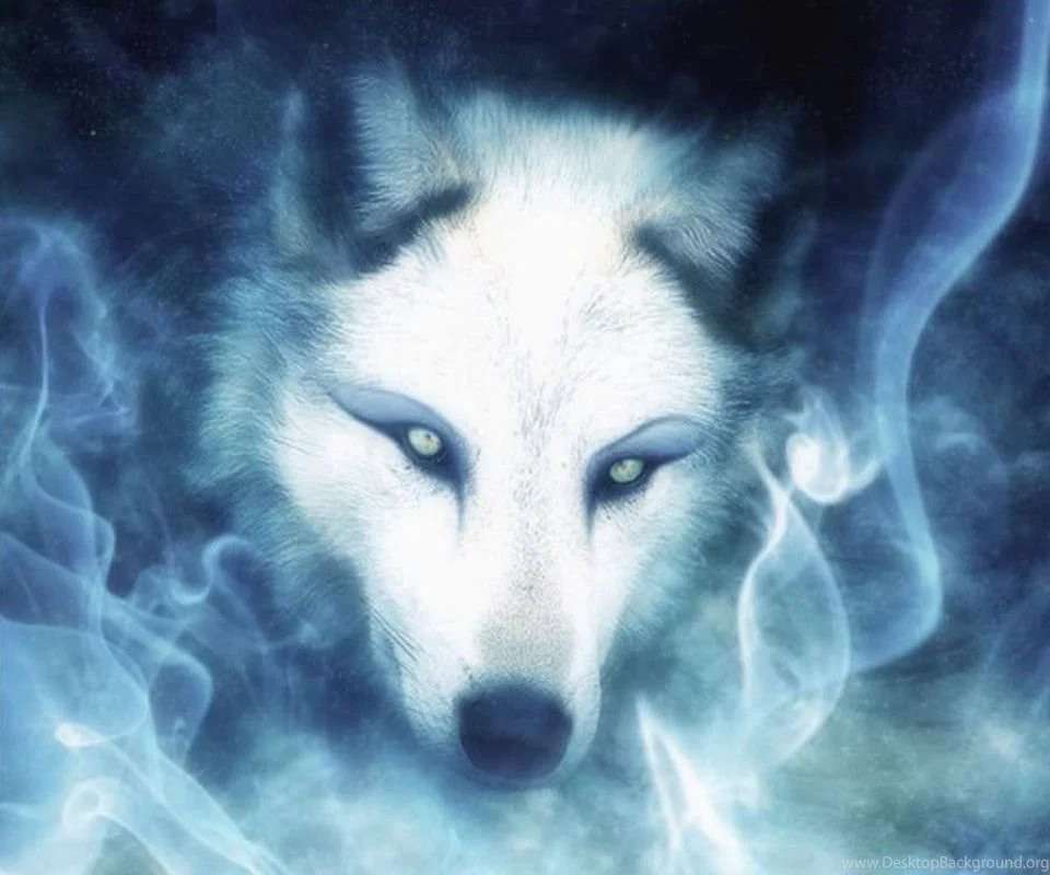 Wolf 🇨🇦 🔥🐺🔥🇨🇦's avatar