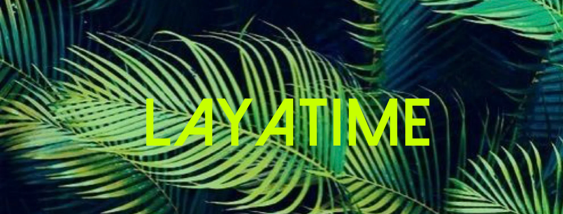 Laya profile banner