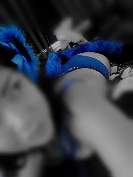 Nyxielkitten's avatar