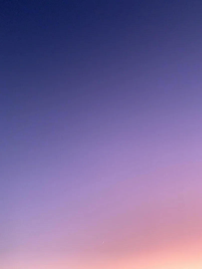 Honey B🍯 profile banner
