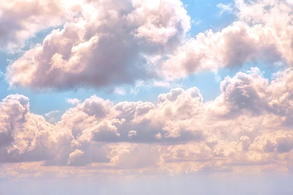 Vis profile banner