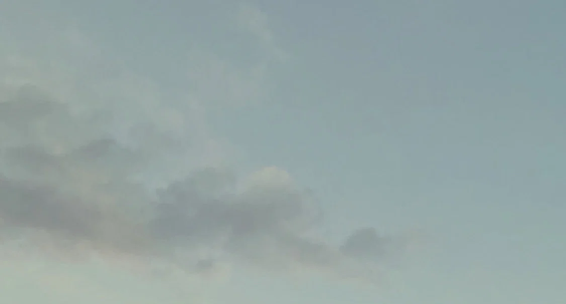 Lena profile banner