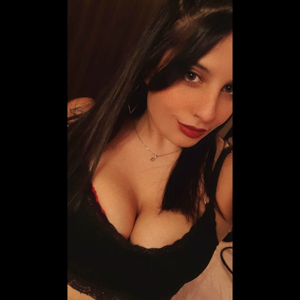 Shibel's avatar
