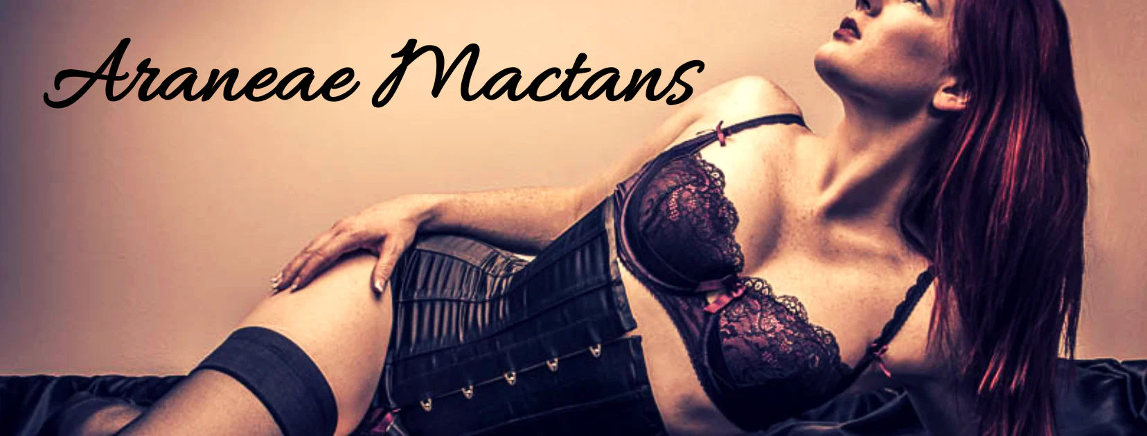 Araneae Mactans profile banner
